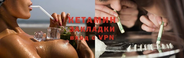 шишки Карпинск