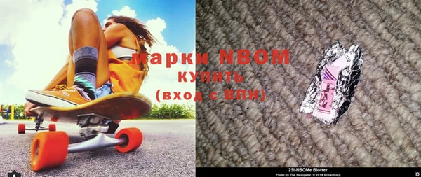 шишки Карпинск