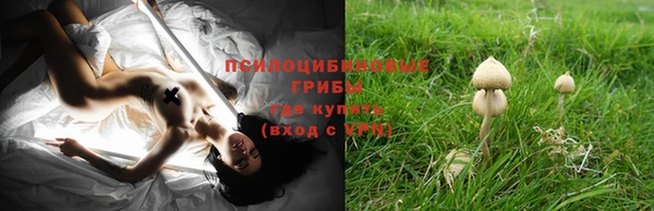 хмурый Киренск