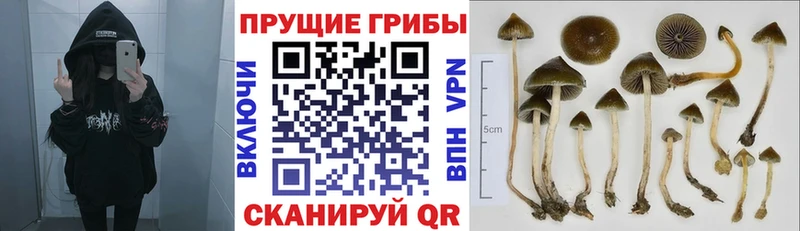 Псилоцибиновые грибы MAGIC MUSHROOMS Октябрьский