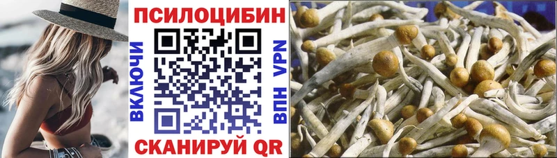 Купить  Октябрьский  Галлюциногенные грибы Psilocybine cubensis 